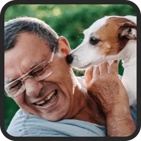 UltraK9Pro Review Labrador